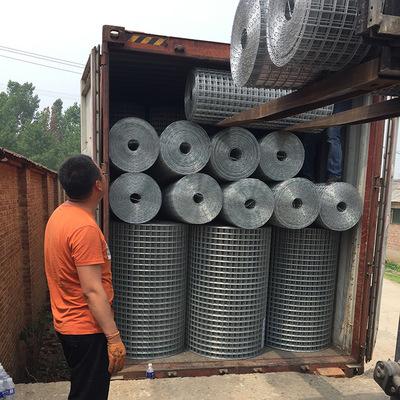 工厂生产铁丝网镀锌电焊网电焊卷网各种规格养殖电焊网